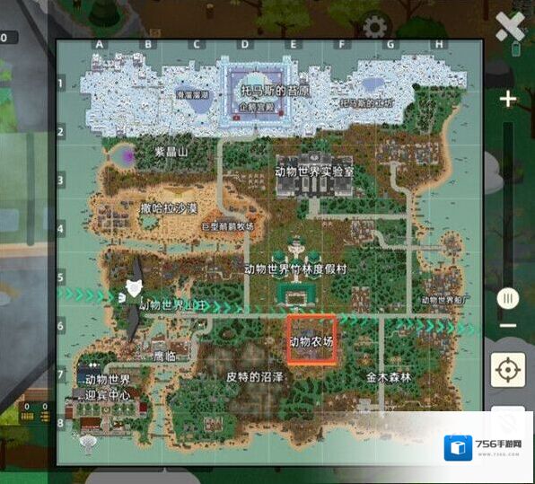 小动物之星中文版跳舞