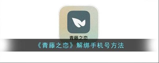 青藤之恋点击