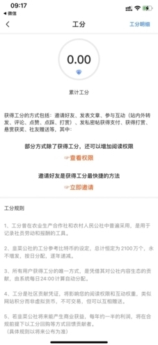 点金公社公社
