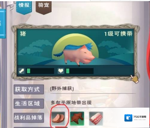 创造与魔法怎么驯服猪