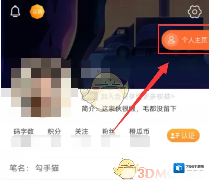 橙瓜界面