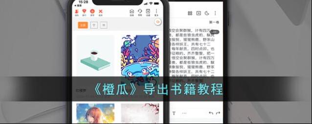 橙瓜导出