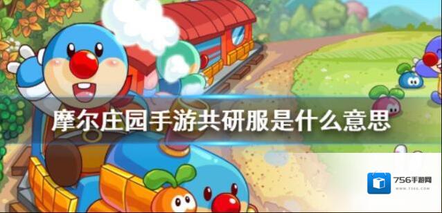 摩尔庄园共研服有什么意思？摩尔庄园共研服介绍
