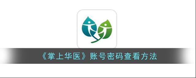 掌上华医查看