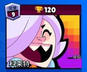 荒野乱斗牌子