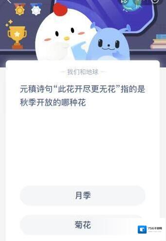 支付宝指的是