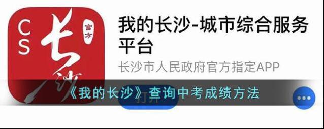 我的长沙中考成绩查询