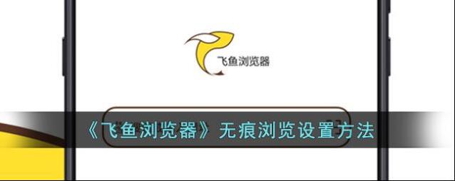 飞鱼浏览器无痕浏览