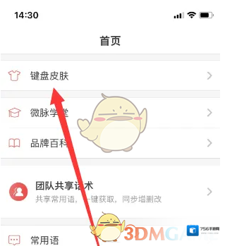 微脉输入法键盘皮肤