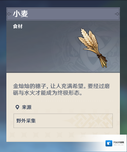 原神小麦怎么获取 小麦获得方法攻略