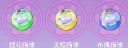 猫之城猫种