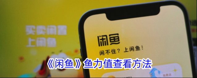 《闲鱼》鱼力值查看方法