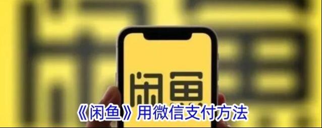 《闲鱼》用微信支付方法