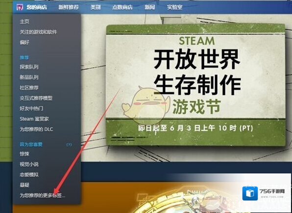 Steam商店