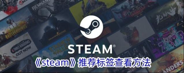 《steam》推荐标签查看方法