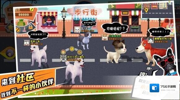 宠物天团招财猫怎么养 招财猫培养攻略